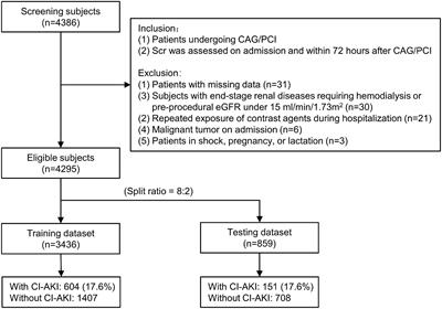 An Online Pre-procedural Nomogram for the Prediction of Contrast-Associated Acute Kidney Injury in Patients Undergoing Coronary Angiography